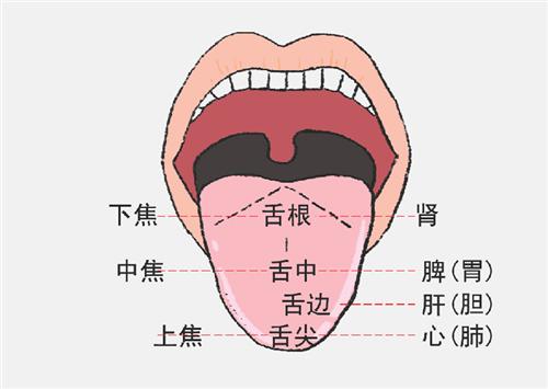 舌苔白是怎么回事