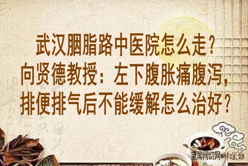 武汉胭脂路中医院怎么走?向贤德教授:左下腹胀痛腹泻,排便排气后不能缓解怎么治好?